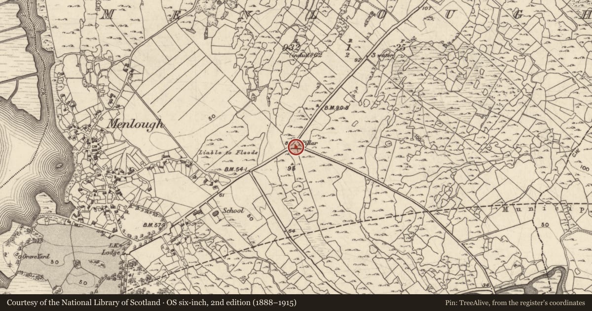 Ordnance Survey six-inch map, 2nd edition (1888–1915) covering the location of Leacht cuimhne, Menlough, County Galway, with a pin at the register's coordinates