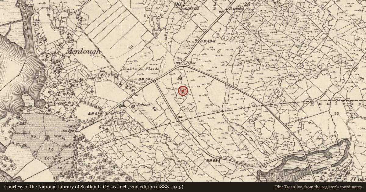 Ordnance Survey six-inch map, 2nd edition (1888–1915) covering the location of Enclosure, Menlough, County Galway, with a pin at the register's coordinates