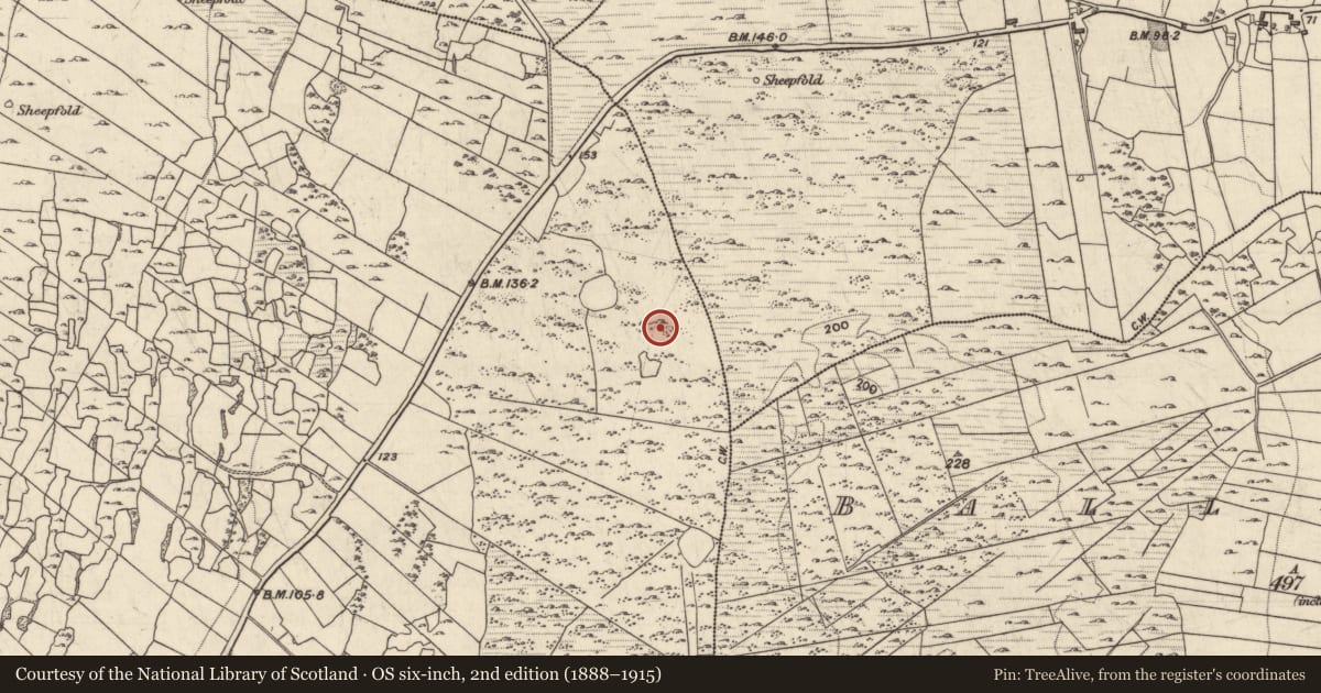 Ordnance Survey six-inch map, 2nd edition (1888–1915) covering the location of Hut site, Menlough, County Galway, with a pin at the register's coordinates