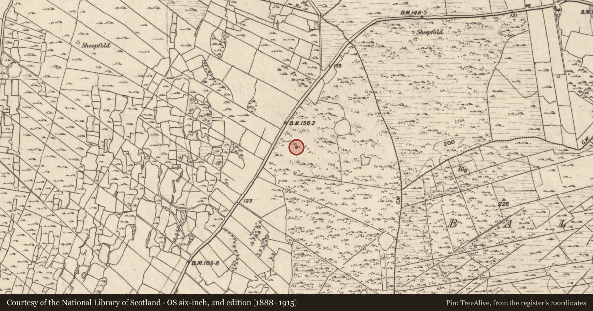 Ordnance Survey six-inch map, 2nd edition (1888–1915) covering the location of Hut site, Menlough, County Galway, with a pin at the register's coordinates