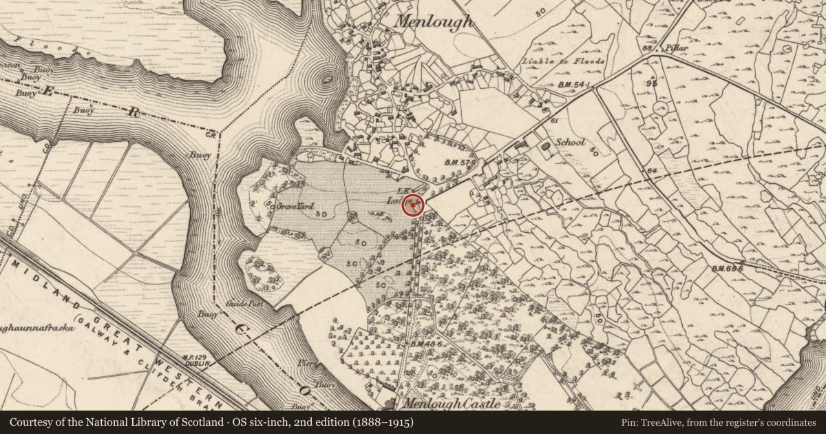 Ordnance Survey six-inch map, 2nd edition (1888–1915) covering the location of Gatehouse, Menlough, County Galway, with a pin at the register's coordinates