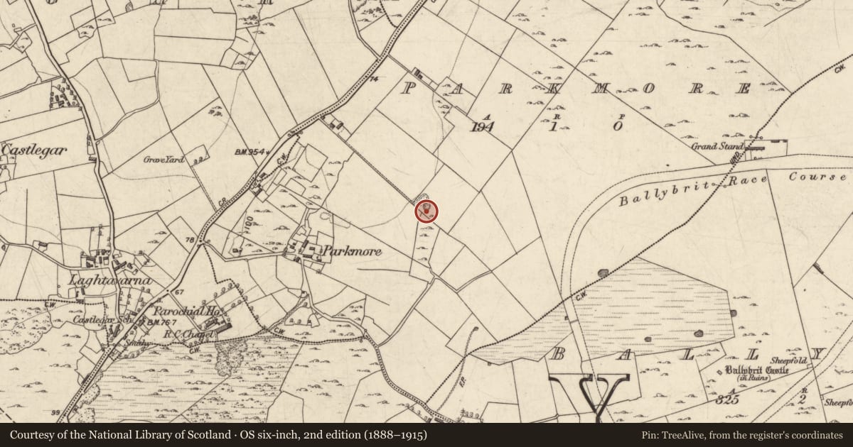 Ordnance Survey six-inch map, 2nd edition (1888–1915) covering the location of Quarry, Parkmore, County Galway, with a pin at the register's coordinates