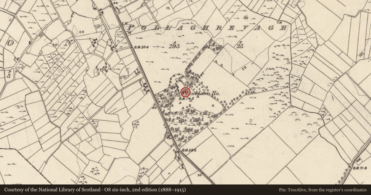 Ordnance Survey six-inch map, 2nd edition (1888–1915) covering the location of Country house, An Pollach Riabhach, County Galway, with a pin at the register's coordinates