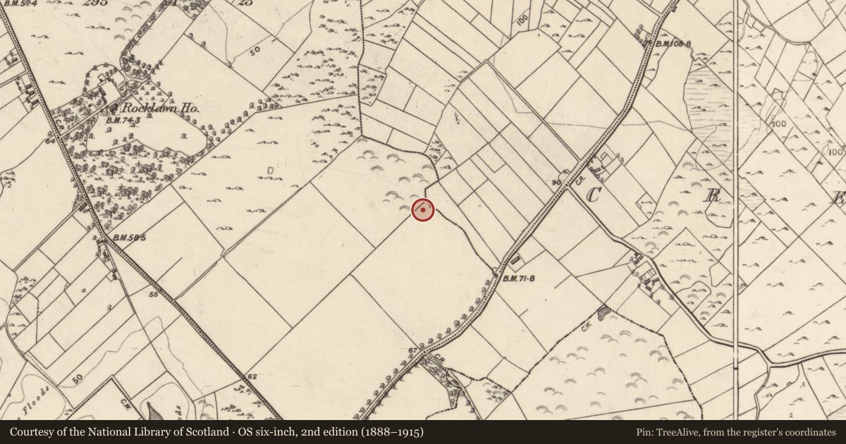 Ordnance Survey six-inch map, 2nd edition (1888–1915) covering the location of Ringfort - unclassified, An Pollach Riabhach, County Galway, with a pin at the register's coordinates