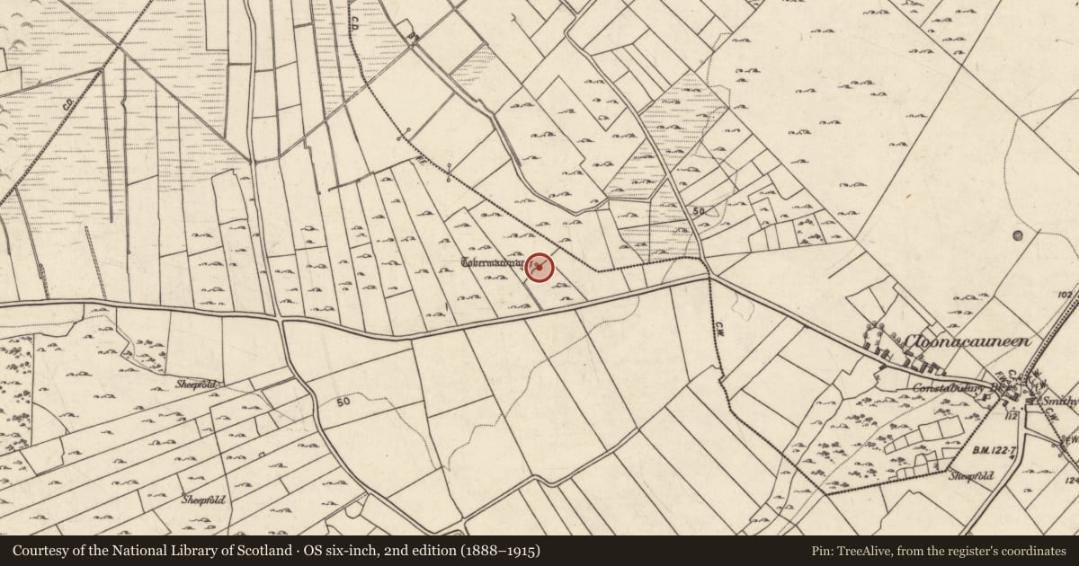 Ordnance Survey six-inch map, 2nd edition (1888–1915) covering the location of Ritual site - holy well, An Poll Caoin, County Galway, with a pin at the register's coordinates