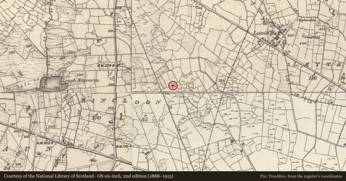 Ordnance Survey six-inch map, 2nd edition (1888–1915) covering the location of Bullaun stone, Rahoon, County Galway, with a pin at the register's coordinates