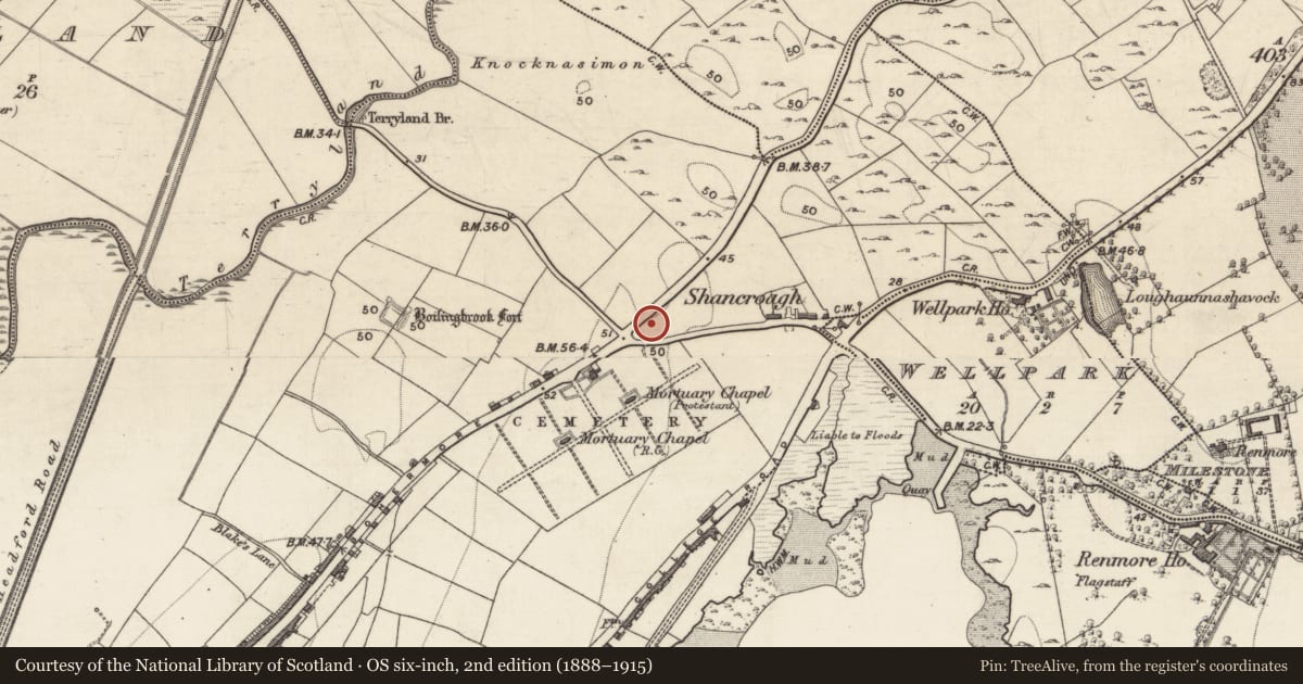 Ordnance Survey six-inch map, 2nd edition (1888–1915) covering the location of Designed landscape - folly, Townparks (Galway By., St. Nicholas Par.), County Galway, with a pin at the register's coordinates