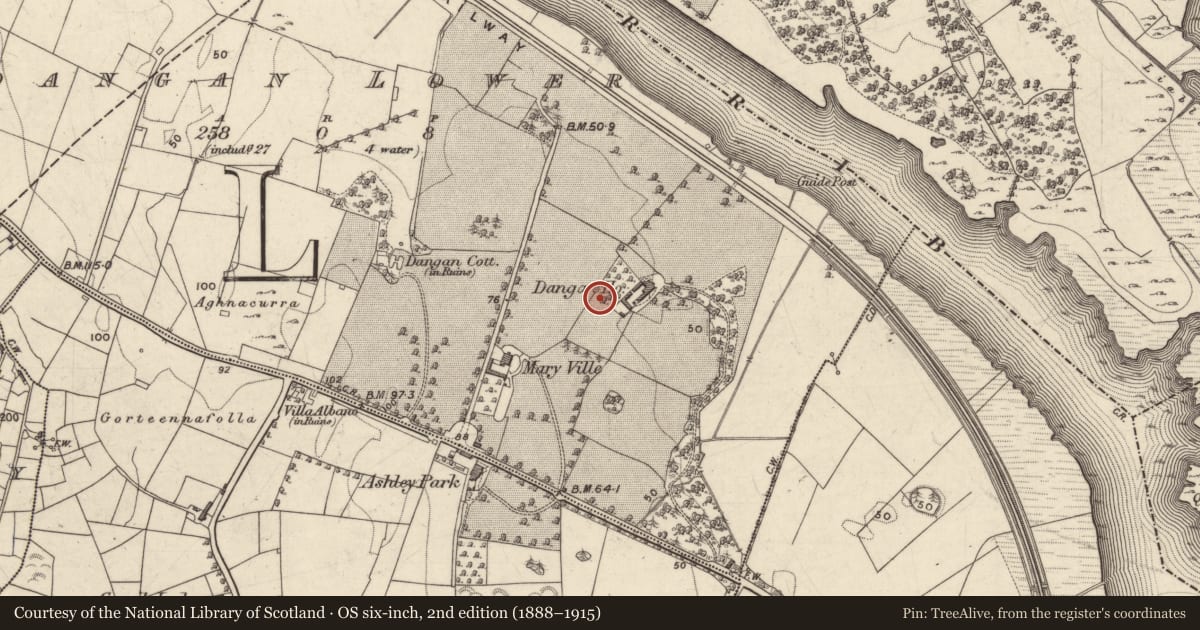 Ordnance Survey six-inch map, 2nd edition (1888–1915) covering the location of Designed landscape feature, Dangan Lower, County Galway, with a pin at the register's coordinates