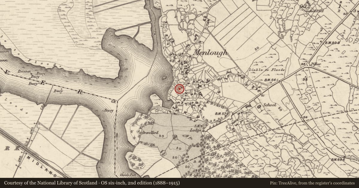 Ordnance Survey six-inch map, 2nd edition (1888–1915) covering the location of Settlement cluster, Menlough, County Galway, with a pin at the register's coordinates