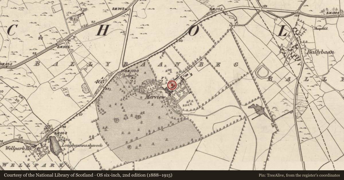 Ordnance Survey six-inch map, 2nd edition (1888–1915) covering the location of House - 18th/19th century, Ballybaan Beg, County Galway, with a pin at the register's coordinates