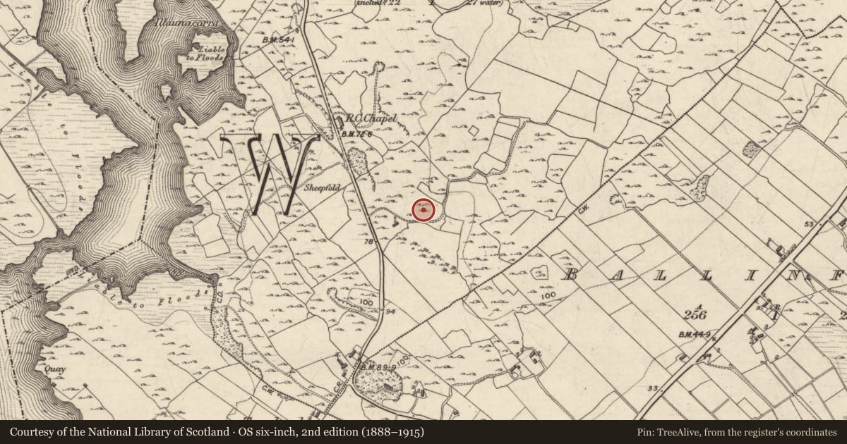 Ordnance Survey six-inch map, 2nd edition (1888–1915) covering the location of Kiln - lime, Coolagh, County Galway, with a pin at the register's coordinates