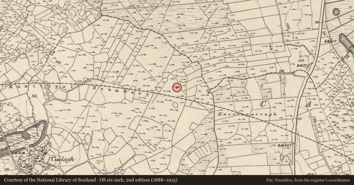 Ordnance Survey six-inch map, 2nd edition (1888–1915) covering the location of Ringfort - cashel, Coolagh, County Galway, with a pin at the register's coordinates