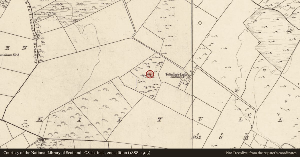 Ordnance Survey six-inch map, 2nd edition (1888–1915) covering the location of Field system, Kiltullagh, County Galway, with a pin at the register's coordinates