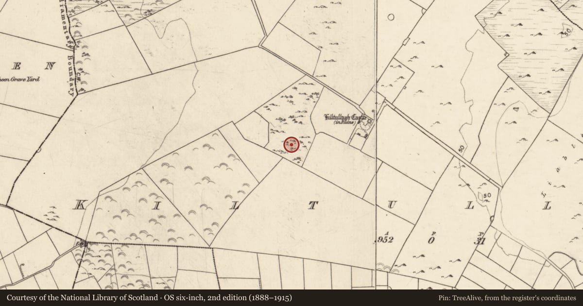 Ordnance Survey six-inch map, 2nd edition (1888–1915) covering the location of Ringfort - cashel, Kiltullagh, County Galway, with a pin at the register's coordinates