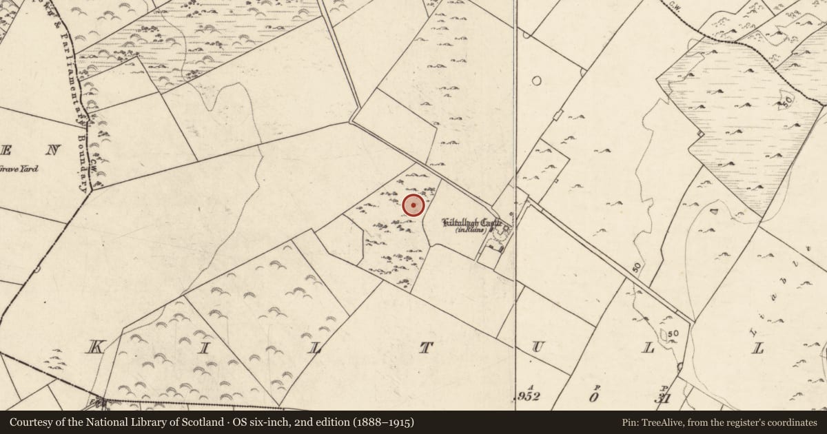 Ordnance Survey six-inch map, 2nd edition (1888–1915) covering the location of Enclosure, Kiltullagh, County Galway, with a pin at the register's coordinates