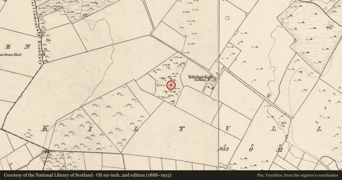 Ordnance Survey six-inch map, 2nd edition (1888–1915) covering the location of House - indeterminate date, Kiltullagh, County Galway, with a pin at the register's coordinates