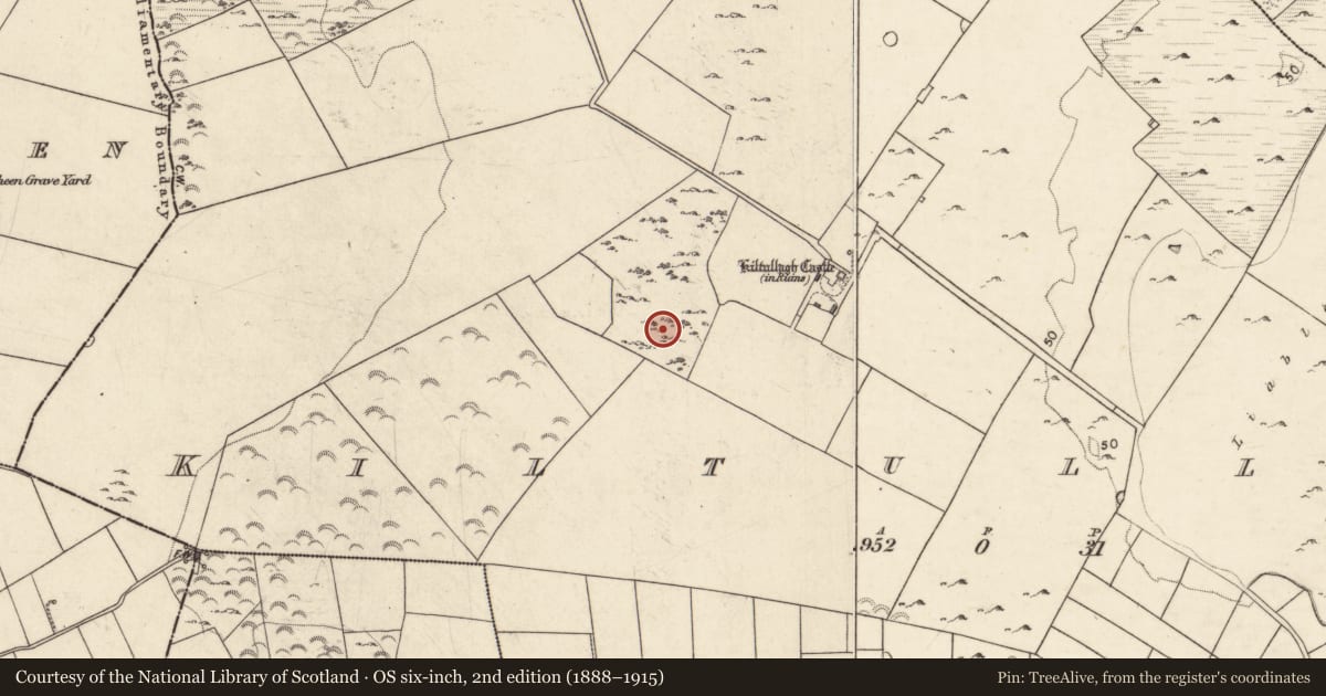 Ordnance Survey six-inch map, 2nd edition (1888–1915) covering the location of House - indeterminate date, Kiltullagh, County Galway, with a pin at the register's coordinates