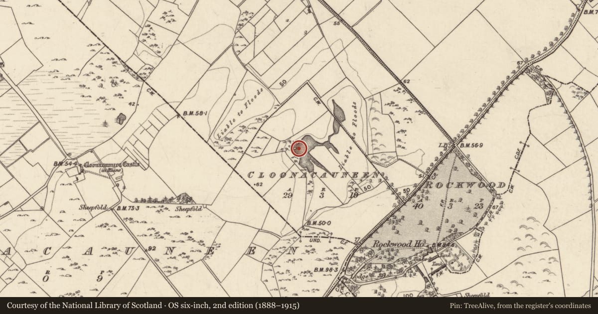 Ordnance Survey six-inch map, 2nd edition (1888–1915) covering the location of Crannog, Cloonacauneen, County Galway, with a pin at the register's coordinates