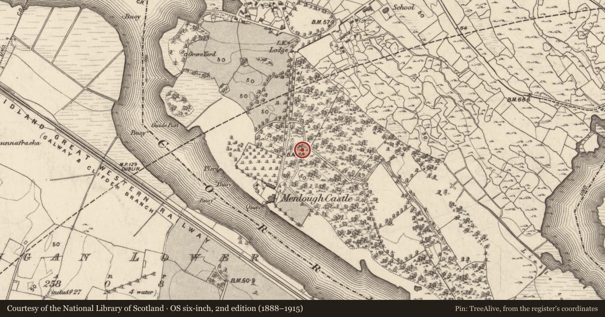 Ordnance Survey six-inch map, 2nd edition (1888–1915) covering the location of Cairn - clearance cairn, Menlough, County Galway, with a pin at the register's coordinates