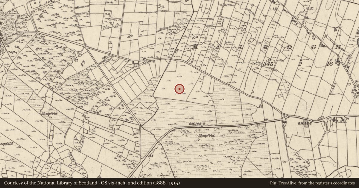 Ordnance Survey six-inch map, 2nd edition (1888–1915) covering the location of Cairn - unclassified, Kilroghter, County Galway, with a pin at the register's coordinates