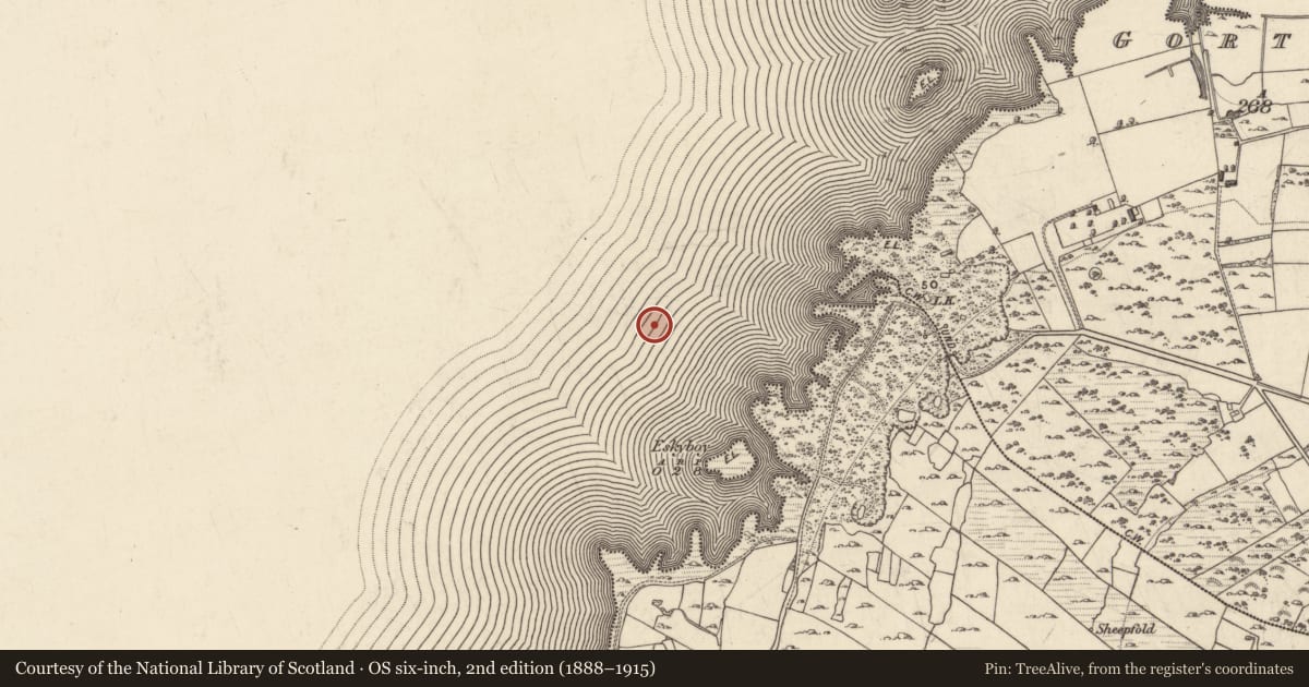 Ordnance Survey six-inch map, 2nd edition (1888–1915) covering the location of Crannog, Lough Corrib, County Galway, with a pin at the register's coordinates