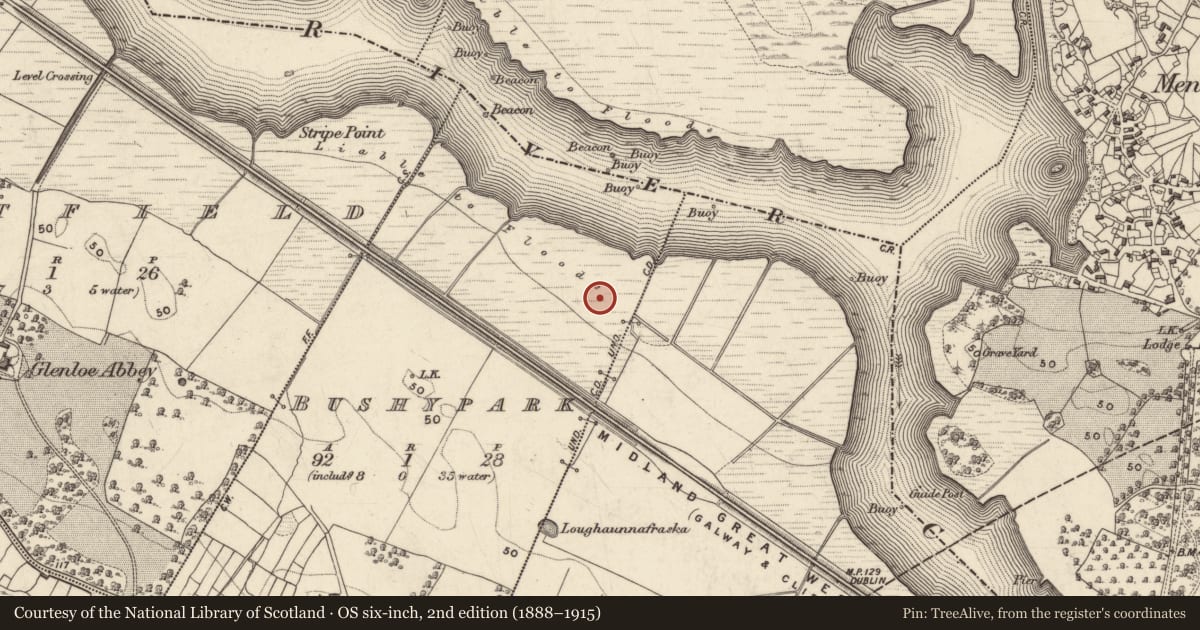 Ordnance Survey six-inch map, 2nd edition (1888–1915) covering the location of Enclosure, Bushypark, County Galway, with a pin at the register's coordinates