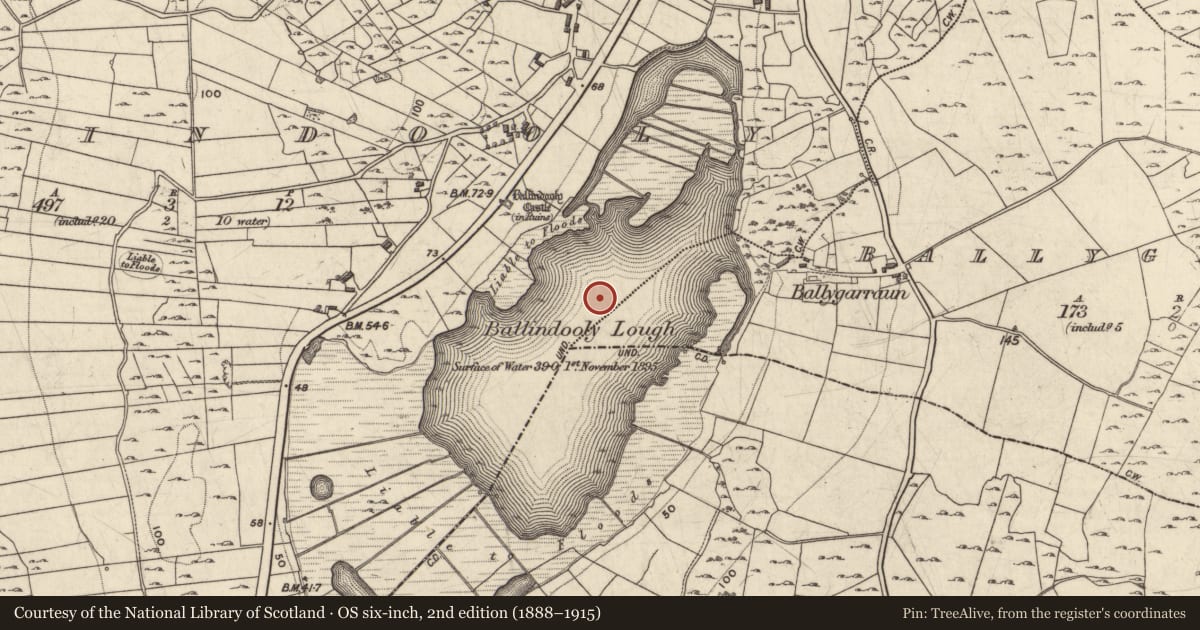 Ordnance Survey six-inch map, 2nd edition (1888–1915) covering the location of Crannog, Ballindooly, County Galway, with a pin at the register's coordinates