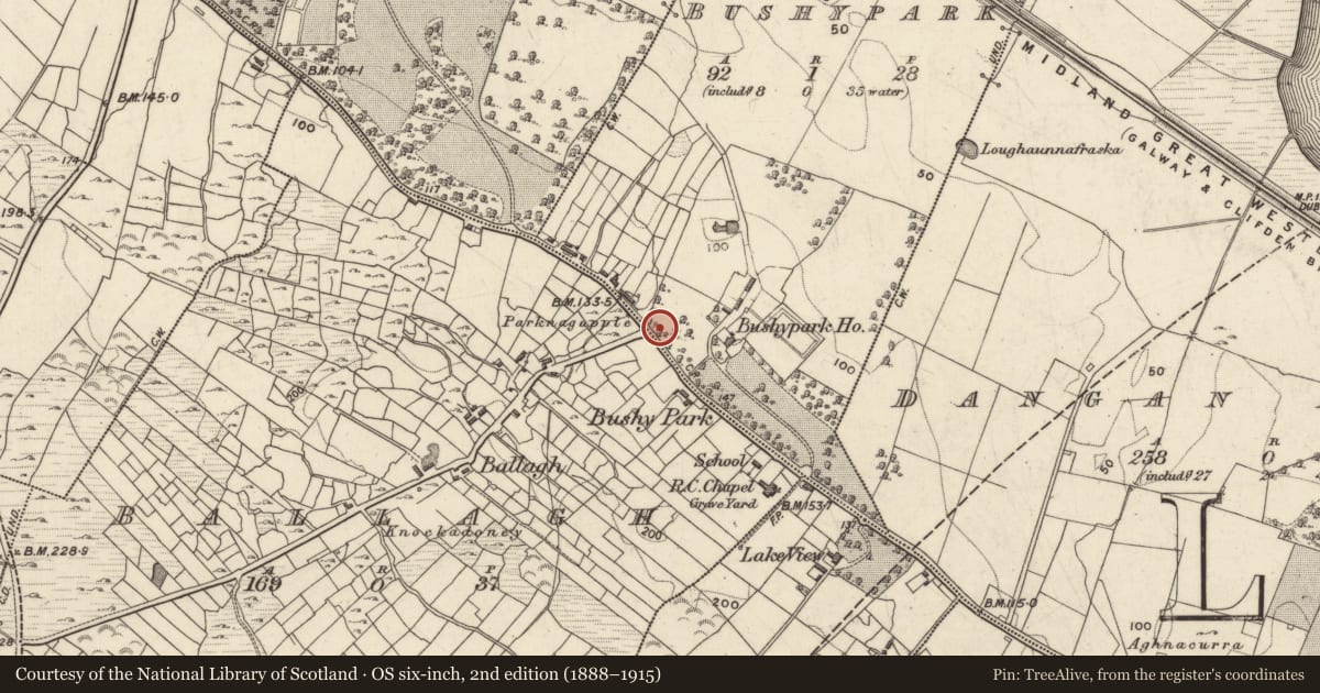 Ordnance Survey six-inch map, 2nd edition (1888–1915) covering the location of Dovecote, Bushypark, County Galway, with a pin at the register's coordinates
