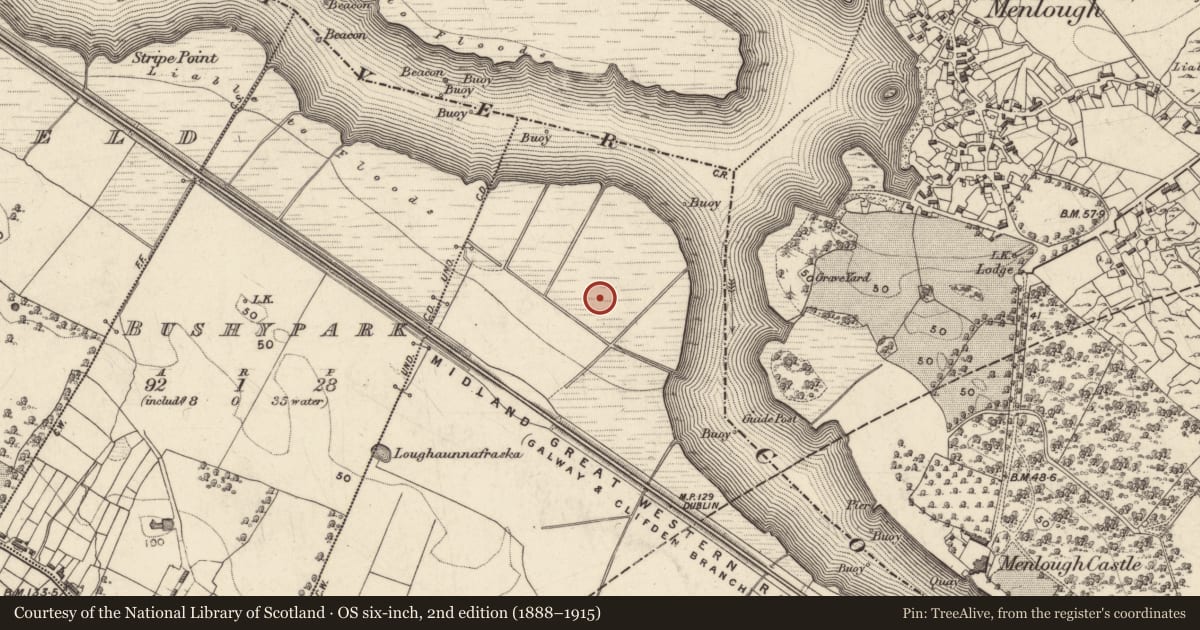 Ordnance Survey six-inch map, 2nd edition (1888–1915) covering the location of Enclosure, Dangan Lower, County Galway, with a pin at the register's coordinates