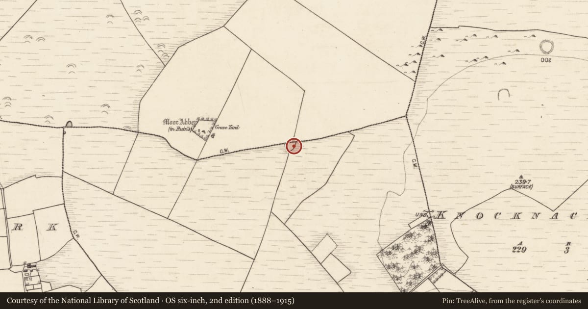 Ordnance Survey six-inch map, 2nd edition (1888–1915) covering the location of Designed landscape feature, Caherbriskaun, Moor, County Galway, with a pin at the register's coordinates