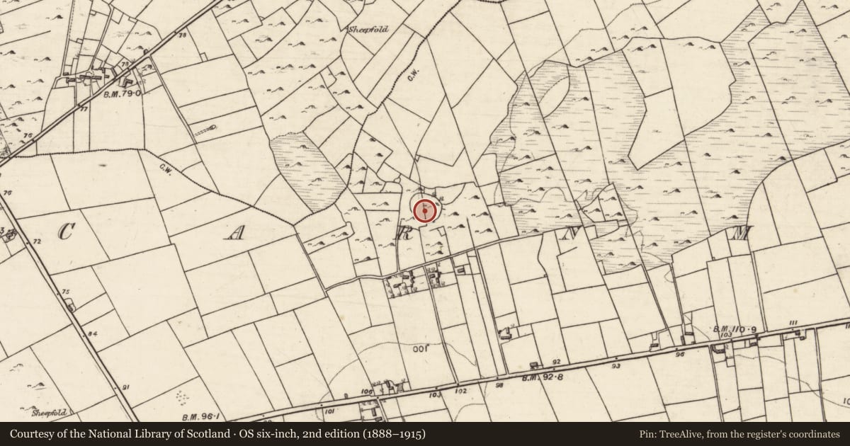 Ordnance Survey six-inch map, 2nd edition (1888–1915) covering the location of Ringfort - cashel, An Carn Mór Thiar, County Galway, with a pin at the register's coordinates