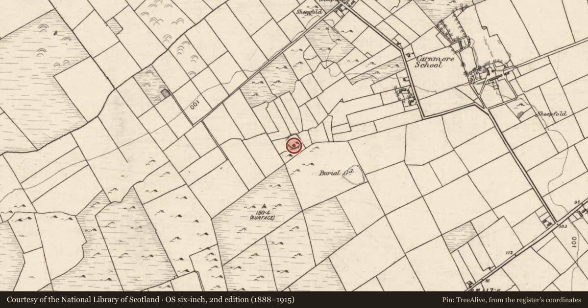 Ordnance Survey six-inch map, 2nd edition (1888–1915) covering the location of Ringfort - rath, An Carn Mór Thiar, County Galway, with a pin at the register's coordinates
