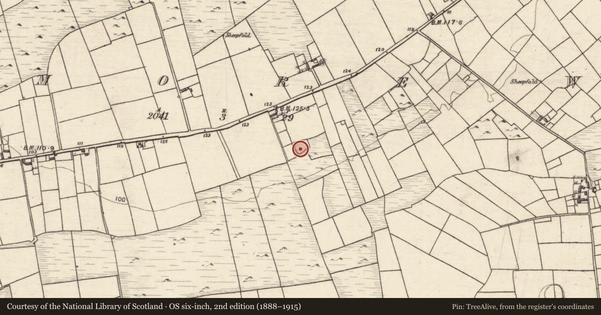 Ordnance Survey six-inch map, 2nd edition (1888–1915) covering the location of Enclosure, An Carn Mór Thiar, County Galway, with a pin at the register's coordinates