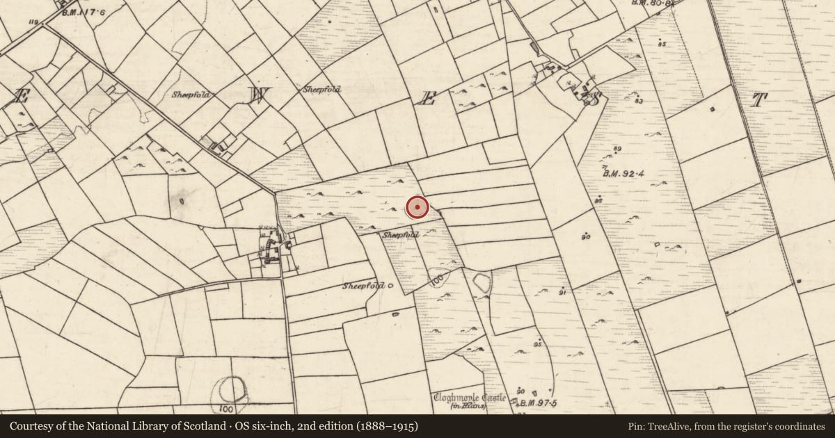 Ordnance Survey six-inch map, 2nd edition (1888–1915) covering the location of Ringfort - rath, An Carn Mór Thiar, County Galway, with a pin at the register's coordinates