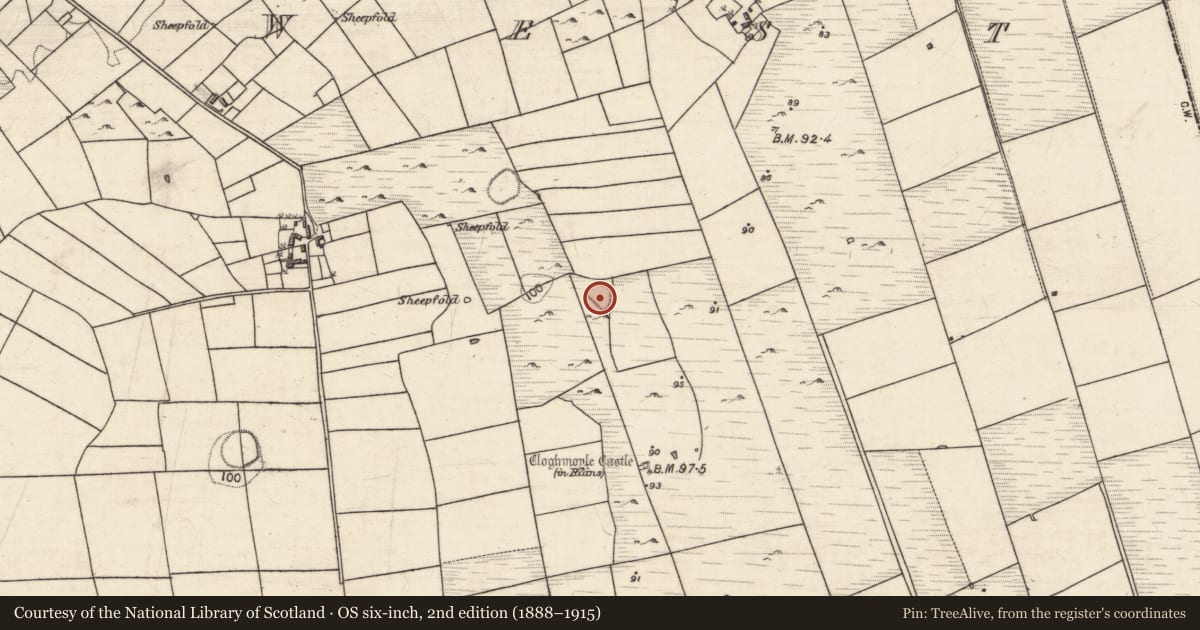 Ordnance Survey six-inch map, 2nd edition (1888–1915) covering the location of Structure, An Carn Mór Thiar, County Galway, with a pin at the register's coordinates
