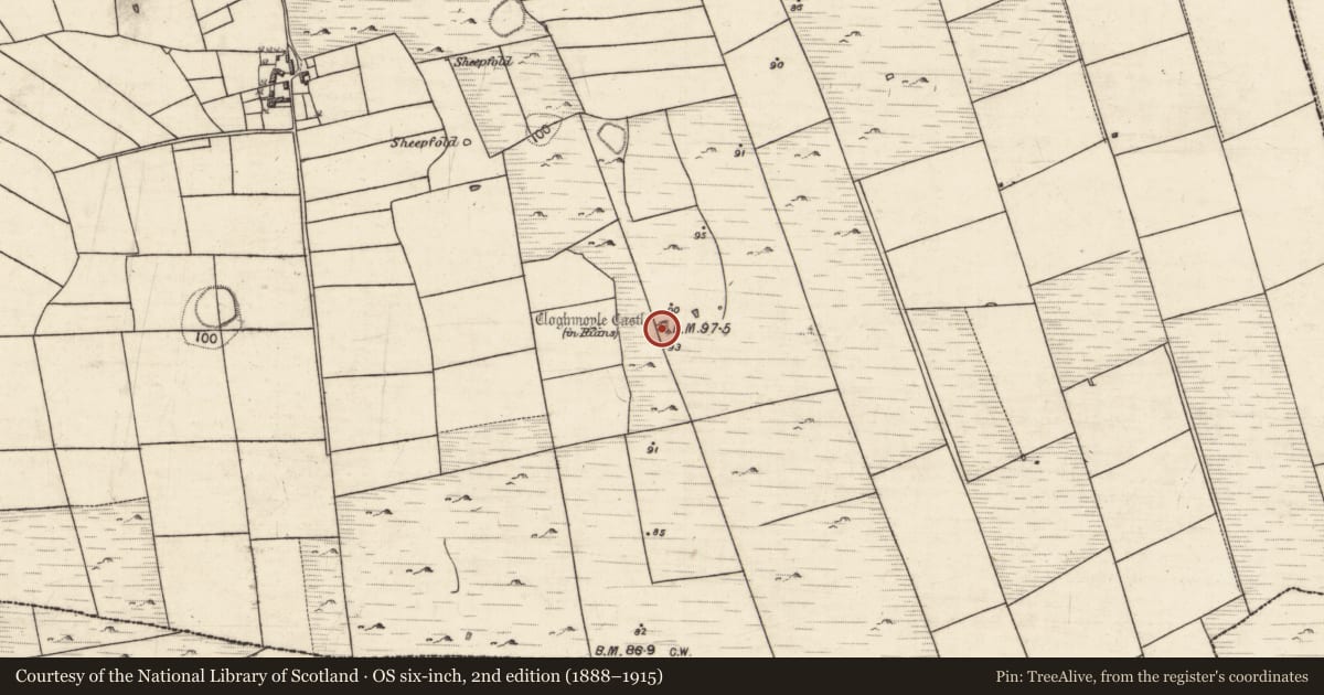 Ordnance Survey six-inch map, 2nd edition (1888–1915) covering the location of Castle - unclassified, An Carn Mór Thiar, County Galway, with a pin at the register's coordinates