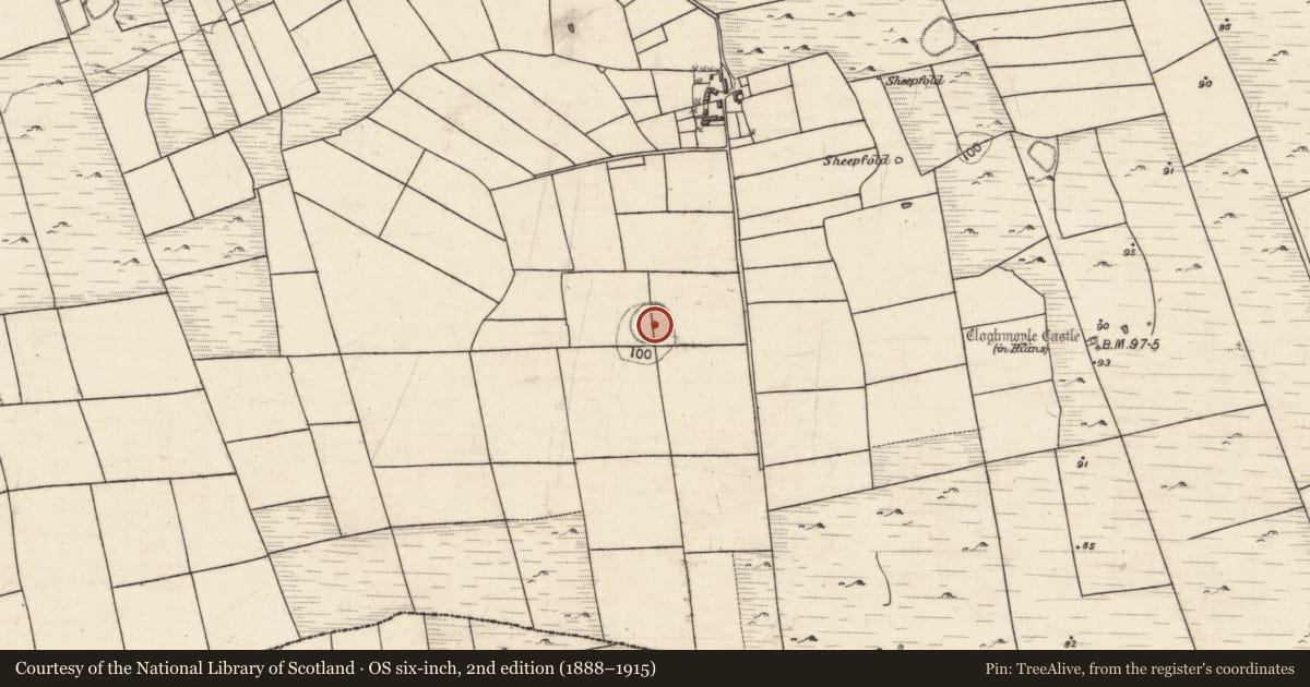 Ordnance Survey six-inch map, 2nd edition (1888–1915) covering the location of Ringfort - rath, An Carn Mór Thiar, County Galway, with a pin at the register's coordinates