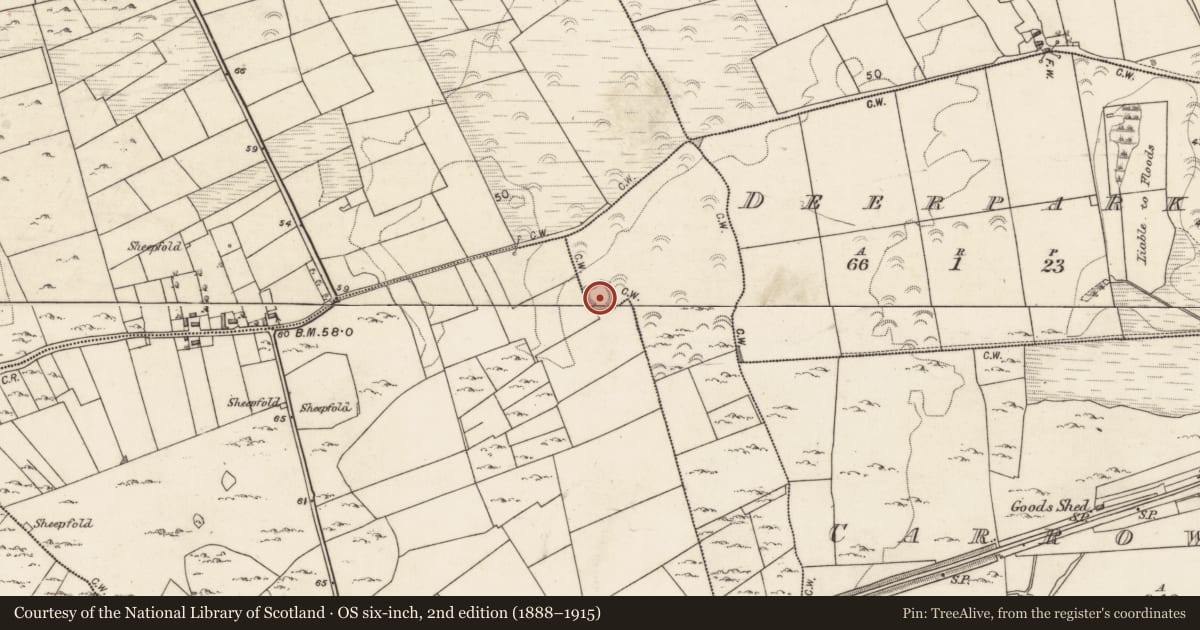Ordnance Survey six-inch map, 2nd edition (1888–1915) covering the location of Ringfort - rath, Carrowkeel, Garraun South, County Galway, with a pin at the register's coordinates