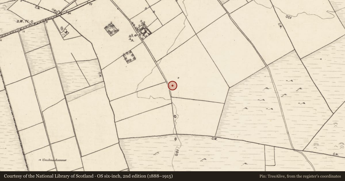 Ordnance Survey six-inch map, 2nd edition (1888–1915) covering the location of Quarry, Cashla (Aughrim ED ), County Galway, with a pin at the register's coordinates
