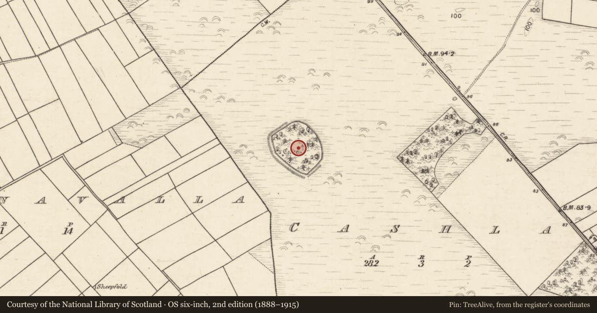 Ordnance Survey six-inch map, 2nd edition (1888–1915) covering the location of Ringfort - unclassified, Cashla, County Galway, with a pin at the register's coordinates
