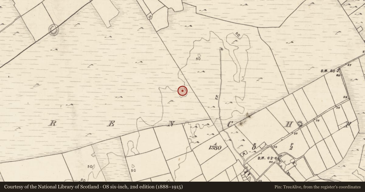 Ordnance Survey six-inch map, 2nd edition (1888–1915) covering the location of Moated site, Frenchfort, County Galway, with a pin at the register's coordinates
