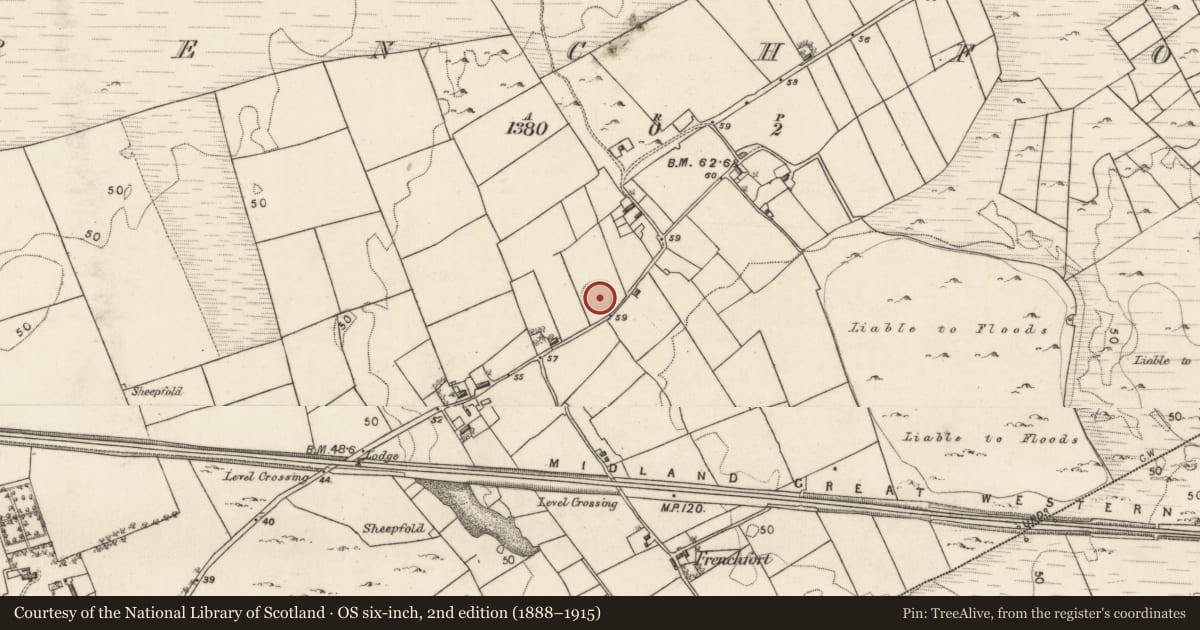 Ordnance Survey six-inch map, 2nd edition (1888–1915) covering the location of Ringfort - rath, Frenchfort, County Galway, with a pin at the register's coordinates