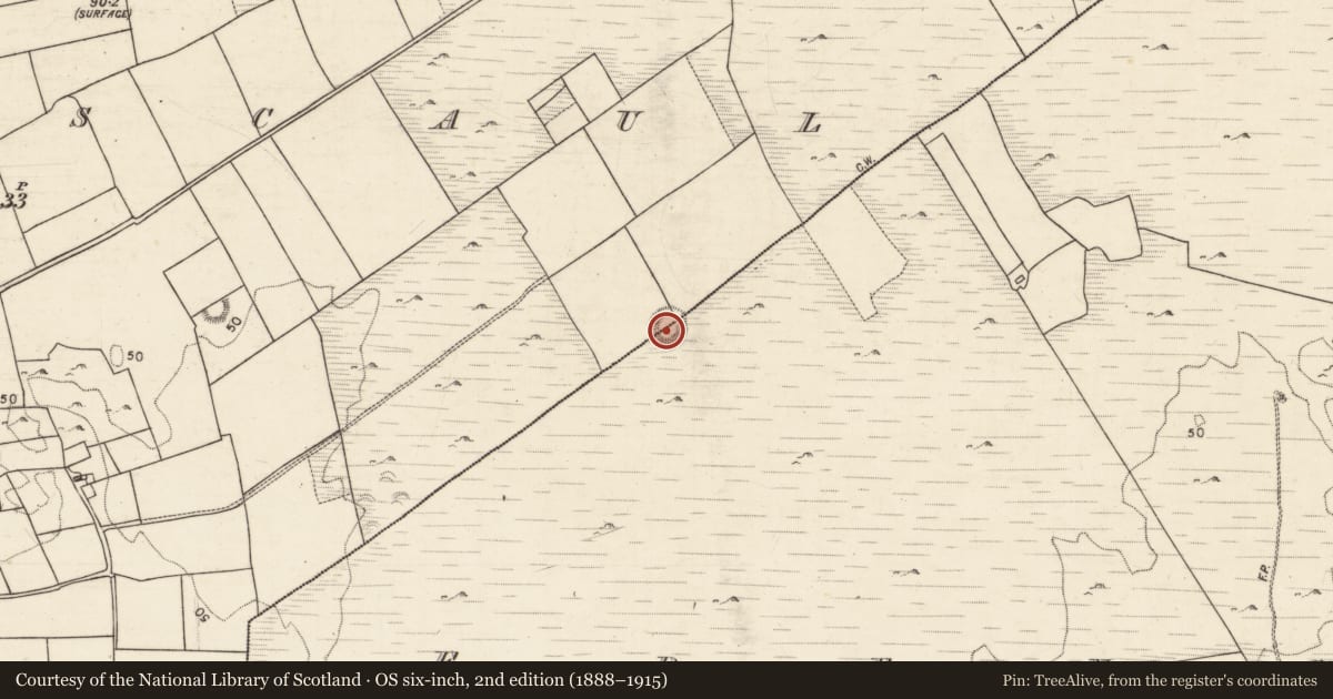 Ordnance Survey six-inch map, 2nd edition (1888–1915) covering the location of Ringfort - rath, Frenchfort, Glennascaul, County Galway, with a pin at the register's coordinates