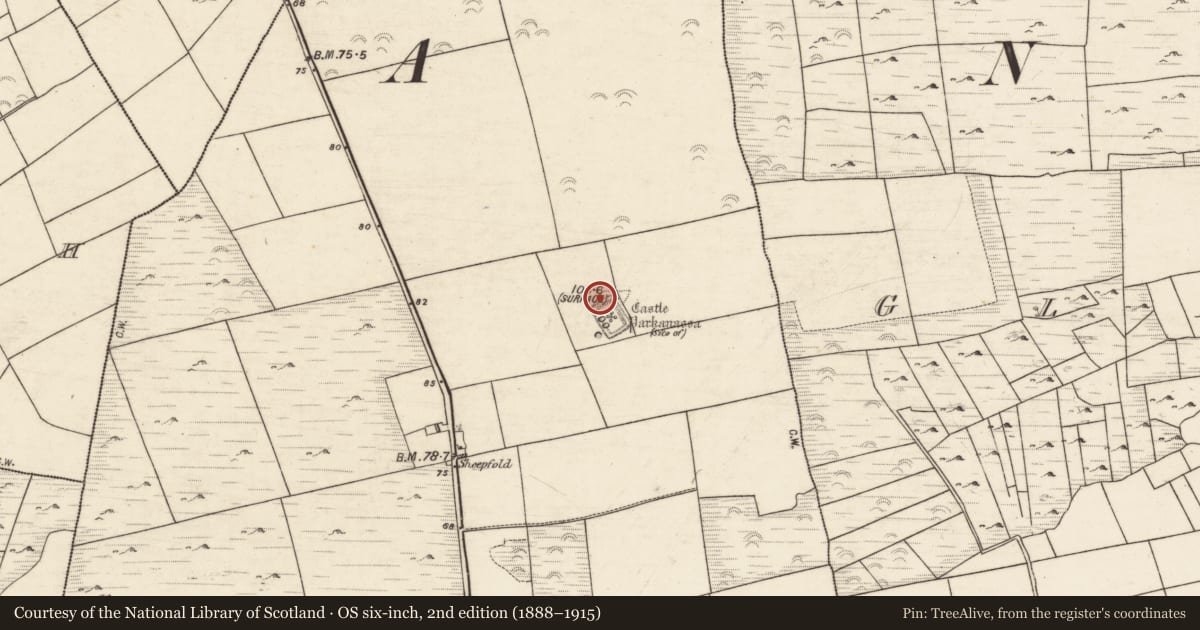 Ordnance Survey six-inch map, 2nd edition (1888–1915) covering the location of Enclosure, Garraun North, County Galway, with a pin at the register's coordinates
