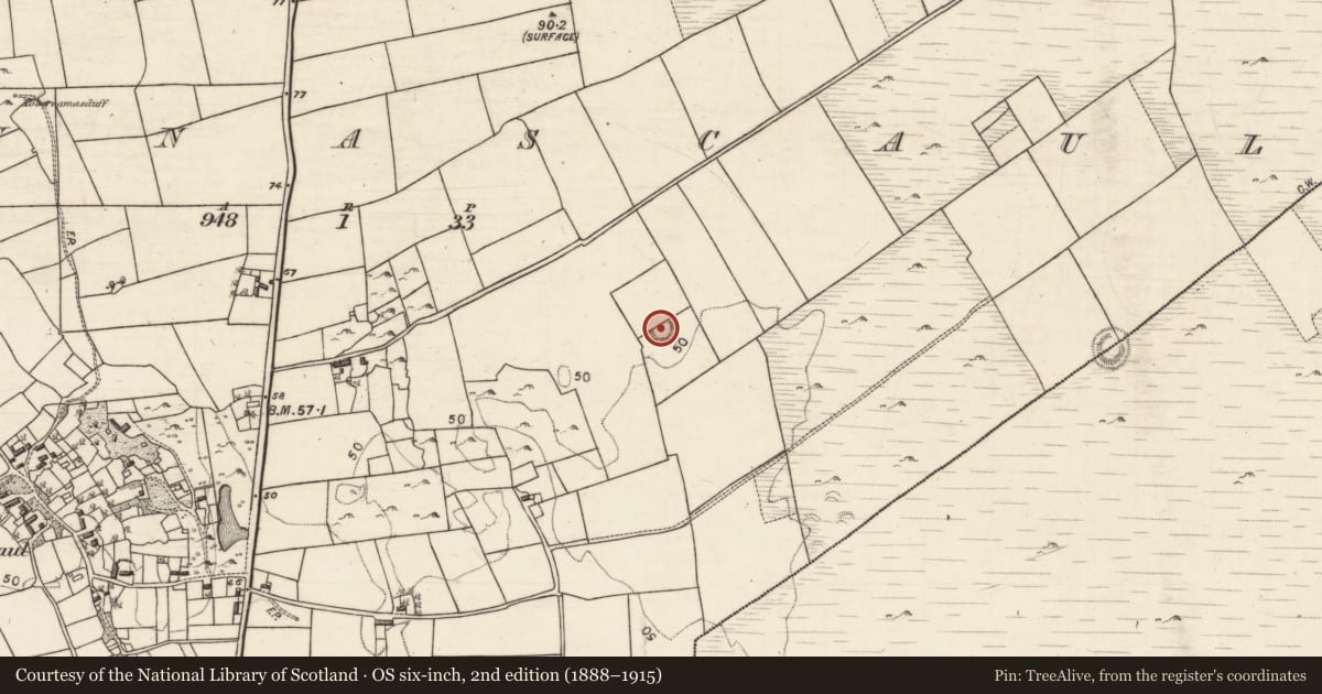 Ordnance Survey six-inch map, 2nd edition (1888–1915) covering the location of Ringfort - rath, Glennascaul, County Galway, with a pin at the register's coordinates
