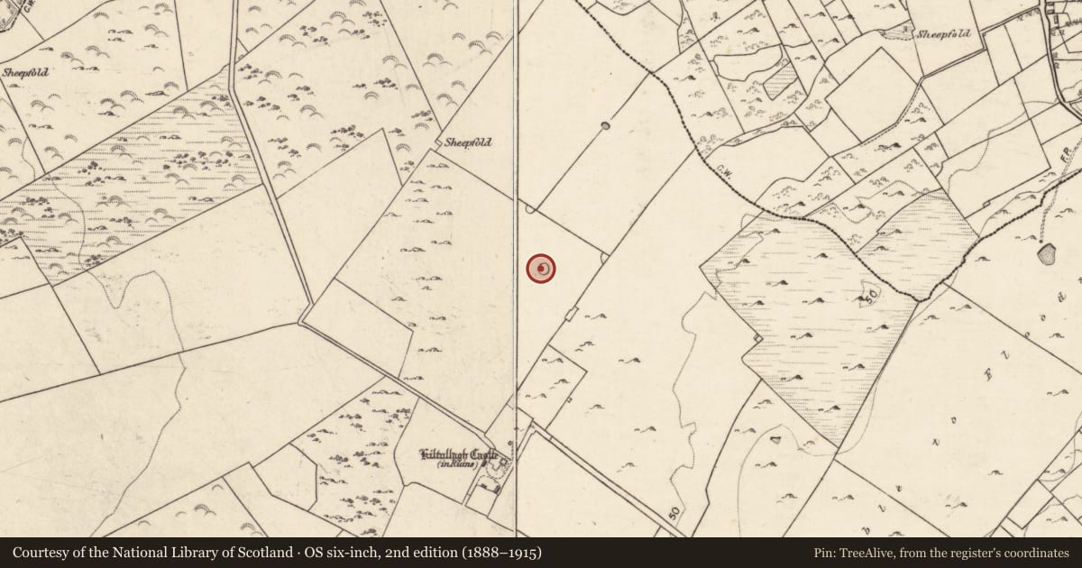 Ordnance Survey six-inch map, 2nd edition (1888–1915) covering the location of Enclosure, Kiltullagh, County Galway, with a pin at the register's coordinates