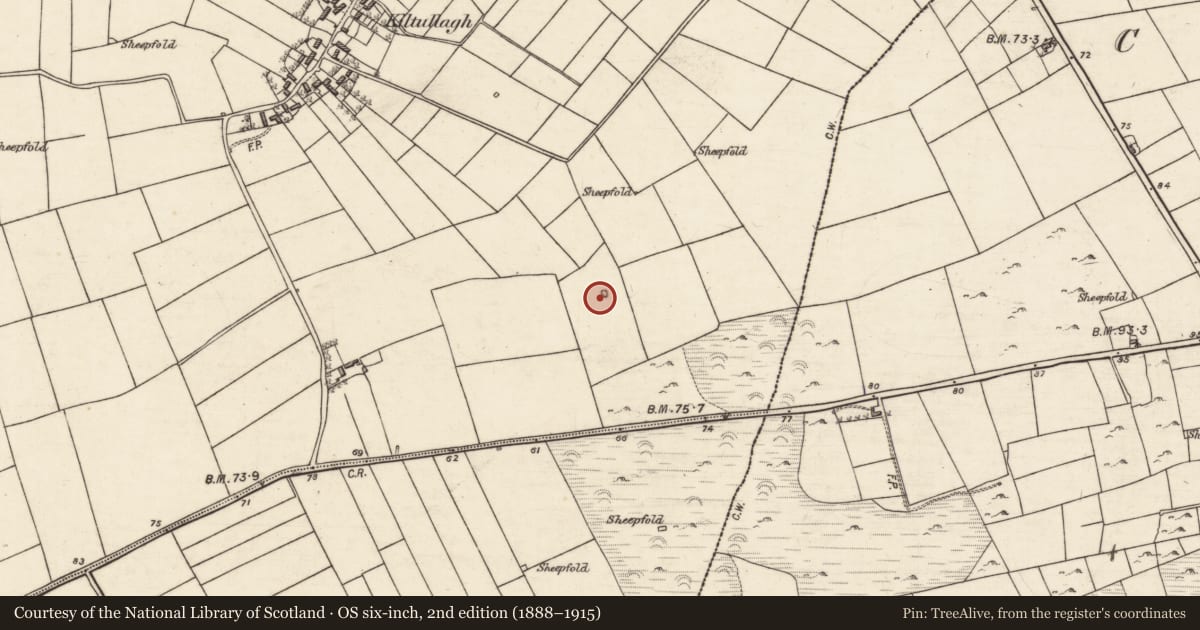 Ordnance Survey six-inch map, 2nd edition (1888–1915) covering the location of Barrow - ring-barrow, Kiltullagh, County Galway, with a pin at the register's coordinates