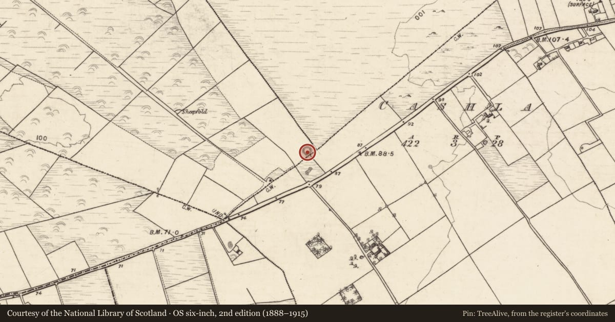 Ordnance Survey six-inch map, 2nd edition (1888–1915) covering the location of Barrow - unclassified, Lisheenavalla, County Galway, with a pin at the register's coordinates