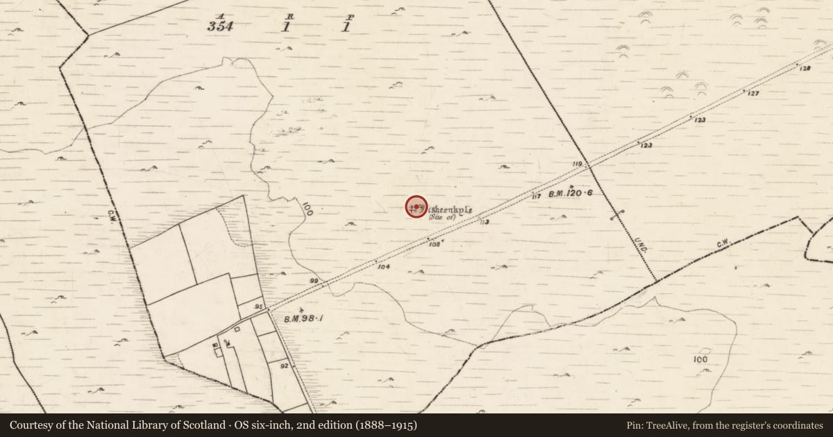 Ordnance Survey six-inch map, 2nd edition (1888–1915) covering the location of Ringfort - unclassified, Lisheenkyle West, County Galway, with a pin at the register's coordinates