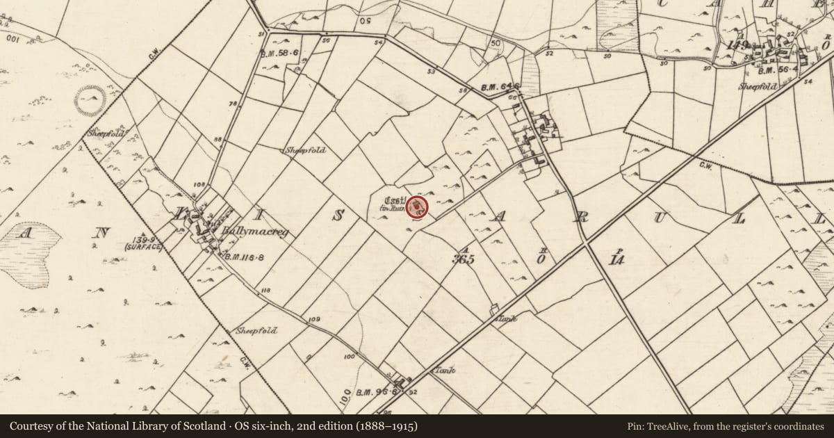 Ordnance Survey six-inch map, 2nd edition (1888–1915) covering the location of Castle - unclassified, Lios Arúla, County Galway, with a pin at the register's coordinates